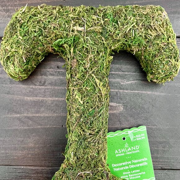 Decorative faux Moss "T" Monogram - Picture 2 of 4